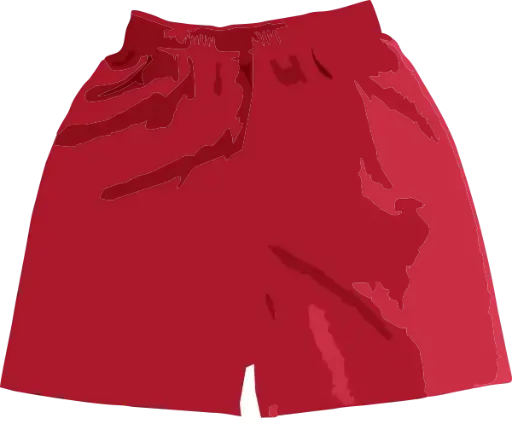 Sports Shorts
